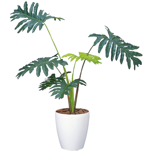 酸化チタン光触媒 セローム H90 59 グリーンヒーリングの観葉植物 おしゃれな家具通販 インテリアショップ リグナ