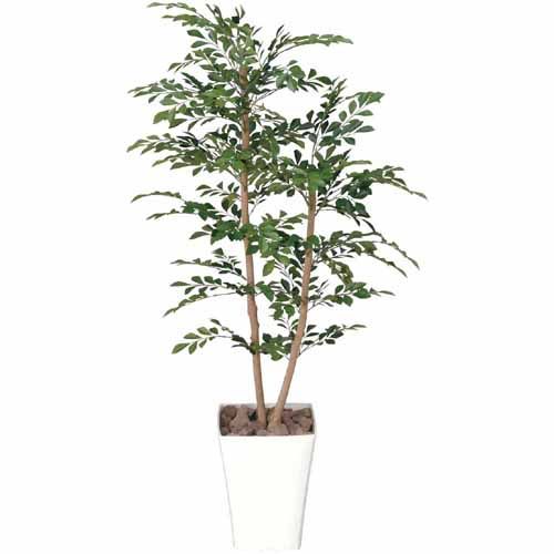 酸化チタン光触媒 トネリコ H1 78 グリーンヒーリングの観葉植物 おしゃれな家具通販 インテリアショップ リグナ