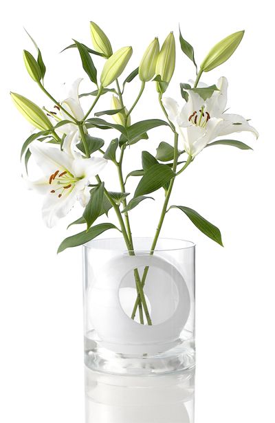 フォー フラワーベース Four Flower Vase 9448 ムートの観葉植物 おしゃれな家具通販 インテリアショップ リグナ