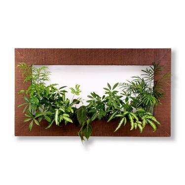 リグナテラス東京 展示アイテム 観葉植物 表示 販売終了含む おしゃれな家具通販 インテリアショップ リグナ