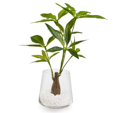 フェイクグリーン 展示 東京店 おしゃれな家具通販 インテリアショップ リグナ