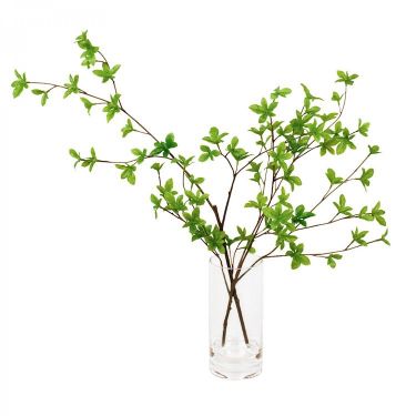 フェイクグリーン 展示 東京店 おしゃれな家具通販 インテリアショップ リグナ